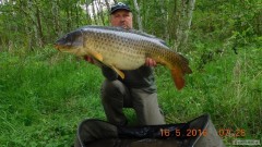 Kliknutím fotografii zvětšíte Bojovník 17kg
