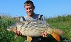 Kliknutím fotografii zvětšíte Palotáš 13,80 kg