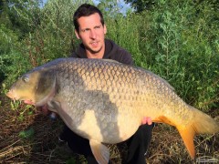 Kliknutím fotografii zvětšíte Labak 15kg