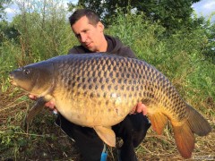 Kliknutím fotografii zvětšíte Labak 14 kg
