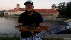 Kliknutím fotografii zvětšíte Parma obecná