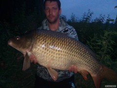 Kliknutím fotografii zvětšíte 14 kg
