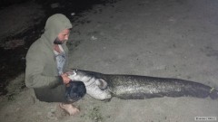 Kliknutím fotografii zvětšíte 190cm