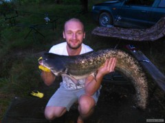 Kliknutím fotografii zvětšíte Sumec na Boilies