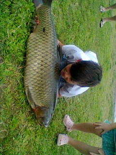 amur - 100 cm, 15 kg