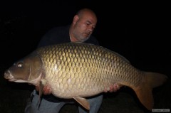 Kliknutím fotografii zvětšíte Kapr 103cm