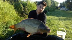 Kapr obecn� 11kg