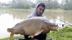 Kapr obecn� 11,5kg