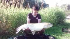 Amur b�l� 14kg 100cm