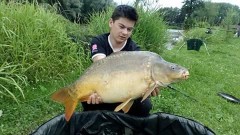 Kapr obecn� 10,5kg