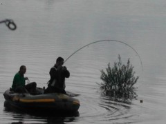Kliknutím fotografii zvětšíte Sportex FBC 2,25lb v akci