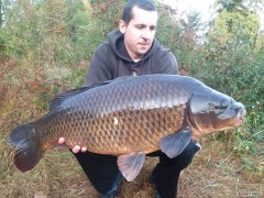 Kliknutím fotografii zvětšíte Krasavec z labe 11,5kg