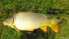 Kliknutím fotografii zvětšíte feeder Trabucco Sygnum TXL-LD 390/130g + K86