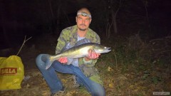 Kliknutím fotografii zvětšíte 1.10.2016 - candát 71 cm