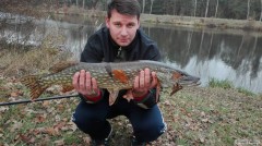 Kliknutím fotografii zvětšíte Štika 82cm