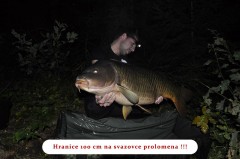 Kliknutím fotografii zvětšíte kapr 100cm svazovka