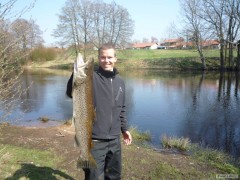 Pstruh Mo�sk� 85cm