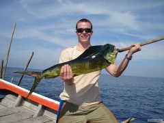 Dorado