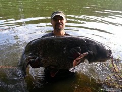 Kliknutím fotografii zvětšíte sumec 214 cm 68 kg