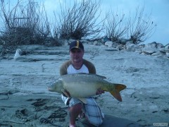 Kapr 82cm 12kg