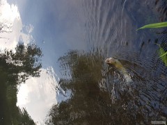Kliknutím fotografii zvětšíte Byl to boj :)