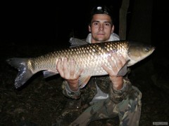 Kliknutím fotografii zvětšíte amuřisko 77 cm