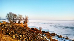 Kliknutím fotografii zvětšíte D5