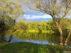 Kliknutím fotografii zvětšíte antosovice