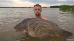 Kliknutím fotografii zvětšíte Kapr 93cm 16,5 kg