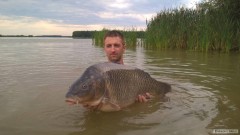 Kliknutím fotografii zvětšíte Kapr 93cm 16,5kg