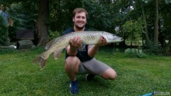Kliknutím fotografii zvětšíte Štika 100cm a 8kg