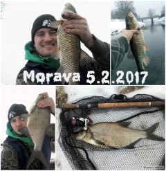 Kliknutím fotografii zvětšíte Zimní feeder na Moravě
