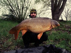 Kliknutím fotografii zvětšíte Sportovní rybolov Božice_kapr
