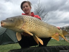 Carp 