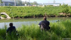 Kliknutím fotografii zvětšíte Dřevka