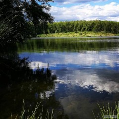 Kliknutím fotografii zvětšíte Úklid svazové vody