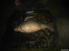 Kliknutím fotografii zvětšíte Labe 15,28kg