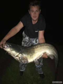 Kliknutím fotografii zvětšíte Sumec 157cm 16.6. 22:00