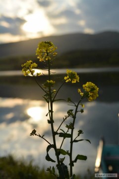 Kliknutím fotografii zvětšíte :-)