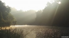 Kliknutím fotografii zvětšíte Revír Kácov