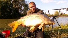 Kliknutím fotografii zvětšíte Kapr 83 cm
