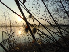 Kliknutím fotografii zvětšíte Zátiší