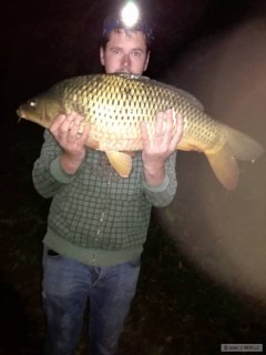 Kliknutím fotografii zvětšíte kapr 70cm