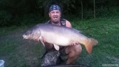 Kliknutím fotografii zvětšíte kapr 87cm 15Kg