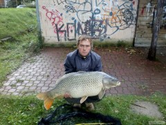 Kliknutím fotografii zvětšíte Svazovka 100cm nevážený.