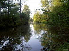 Kliknutím fotografii zvětšíte PLOUCNICE 3