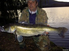 Kliknutím fotografii zvětšíte Zernoseky Candat 97cm 7.30kg