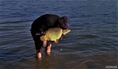 Kliknutím fotografii zvětšíte Opět na feeder