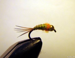 Kliknutím fotografii zvětšíte Micro Nymph