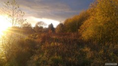 Kliknutím fotografii zvětšíte Na candátech